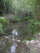 Barranc de Lluna. Bocairent, Valencia